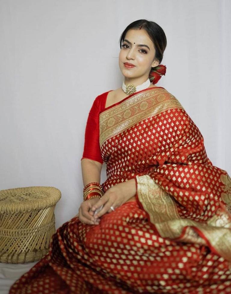 Red Banarasi Silk Saree