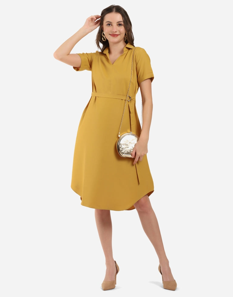 Mustard Flared Dress | SLV296TK5084-L