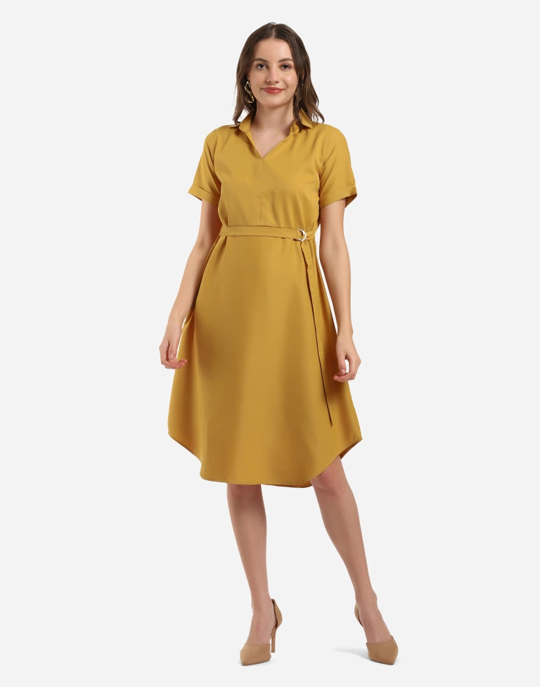 Mustard Flared Dress | SLV296TK5084-L