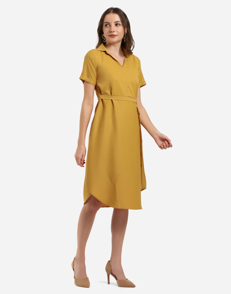 Mustard Flared Dress | SLV296TK5084-L