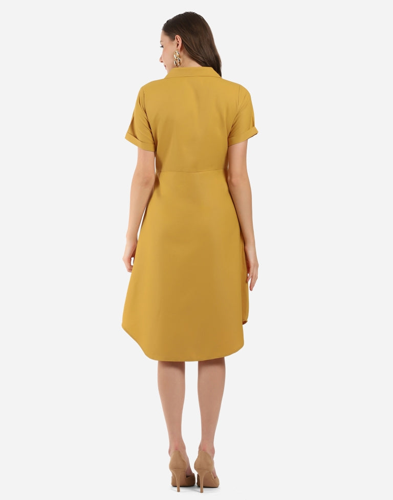 Mustard Flared Dress | SLV296TK5084-L